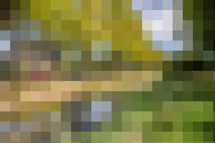 Kolkrijst 79 Hoogland thumbnail 32