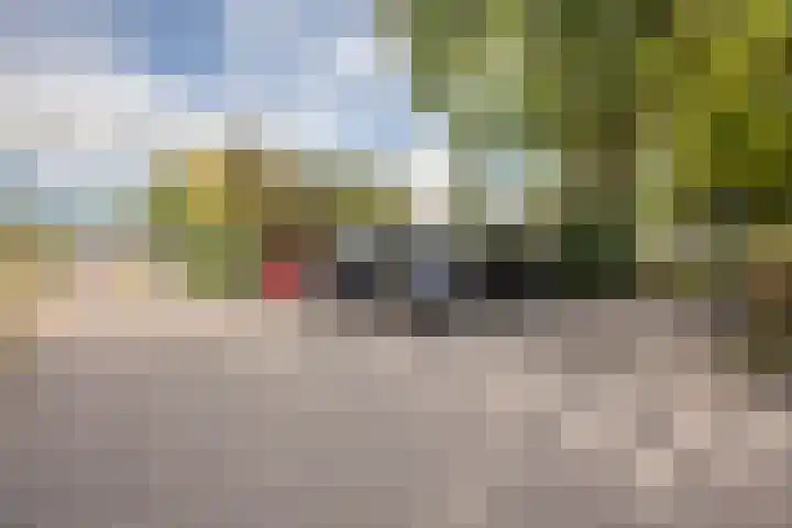 Kolkrijst 79 Hoogland thumbnail 34