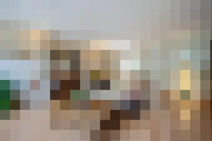Kolkrijst 79 Hoogland thumbnail 5