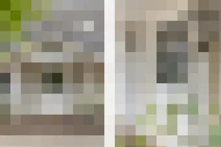 Kolkstraat 11 Sprundel thumbnail 22
