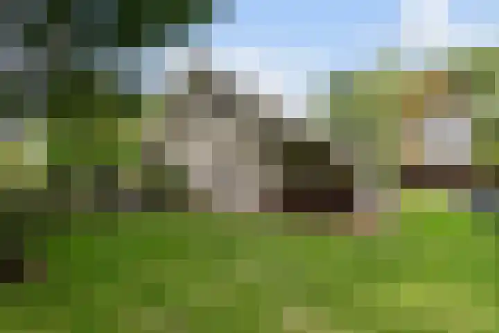 Kolkstraat 11 Sprundel thumbnail 38