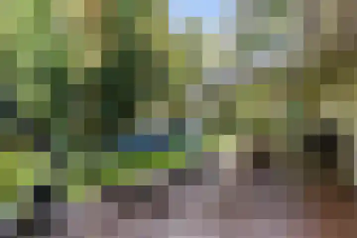 Kolkstraat 11 Sprundel thumbnail 40