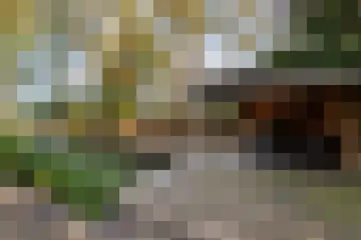 Kolkstraat 11 Sprundel thumbnail 48