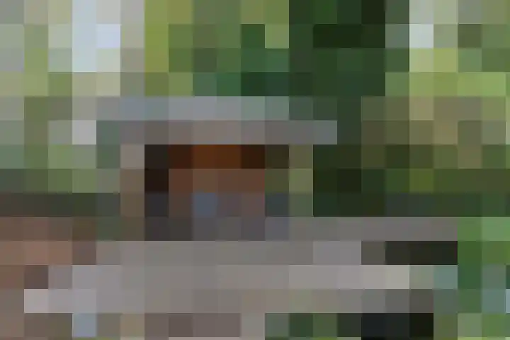 Kolkstraat 11 Sprundel thumbnail 49