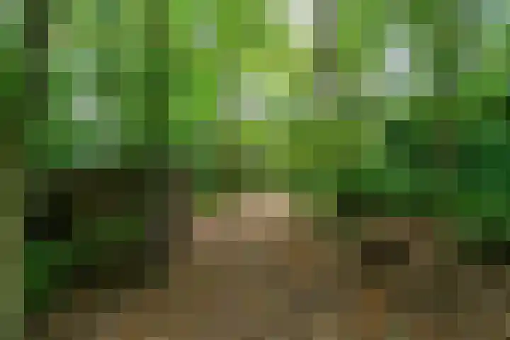 Kolkstraat 11 Sprundel thumbnail 58