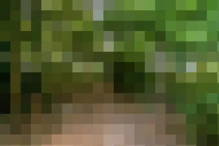 Kolkstraat 11 Sprundel thumbnail 59