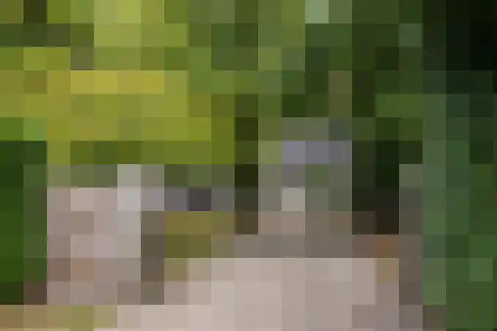 Kolkstraat 11 Sprundel thumbnail 60