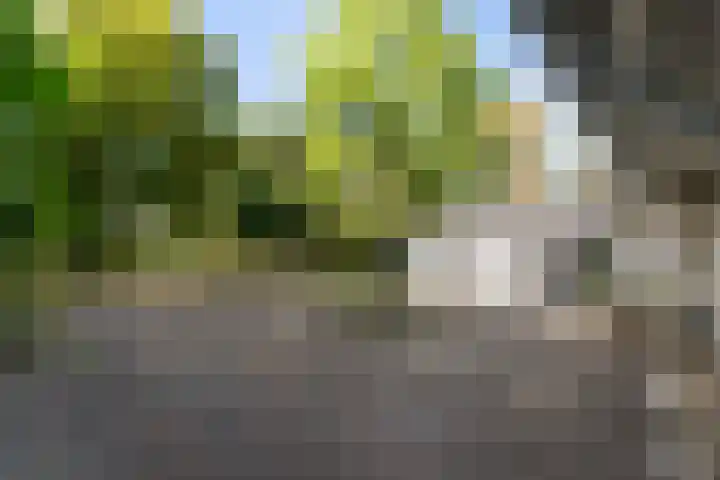 Kolkstraat 11 Sprundel thumbnail 65