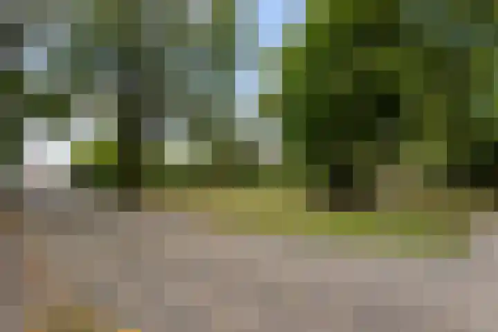 Kolkstraat 11 Sprundel thumbnail 68