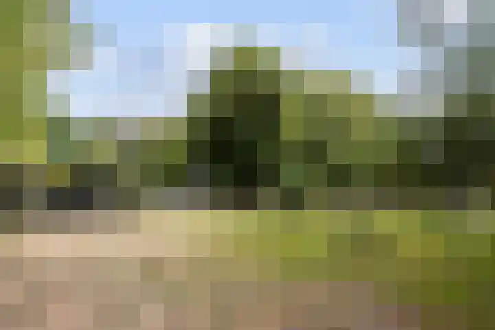 Kolkstraat 11 Sprundel thumbnail 69