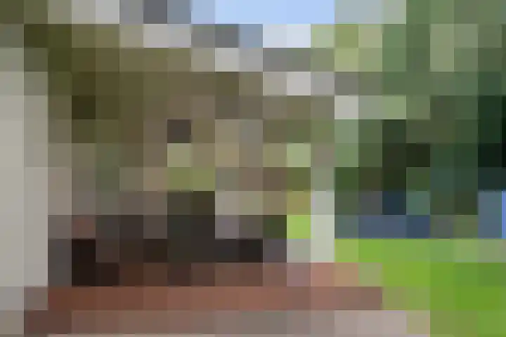 Kolkstraat 11 Sprundel thumbnail 71