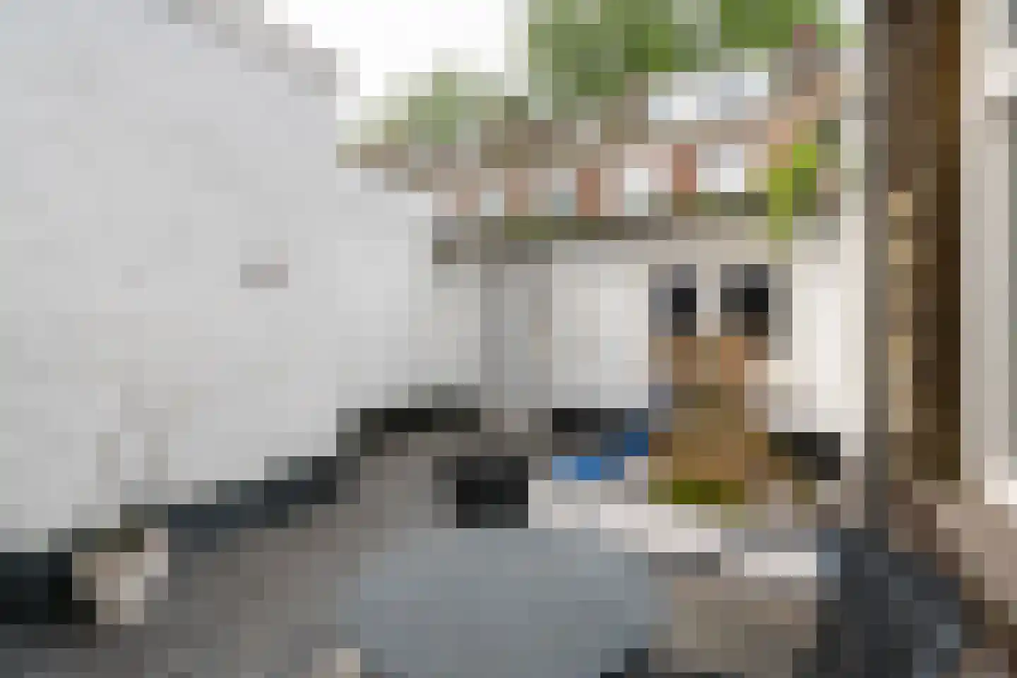 Kolkstraat 28 ZW Haarlem thumbnail 22
