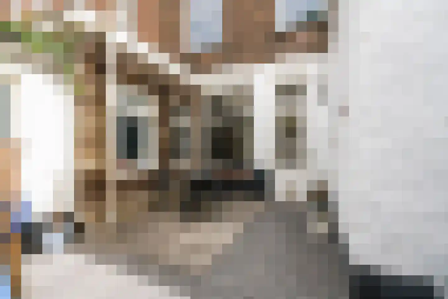 Kolkstraat 28 ZW Haarlem thumbnail 24