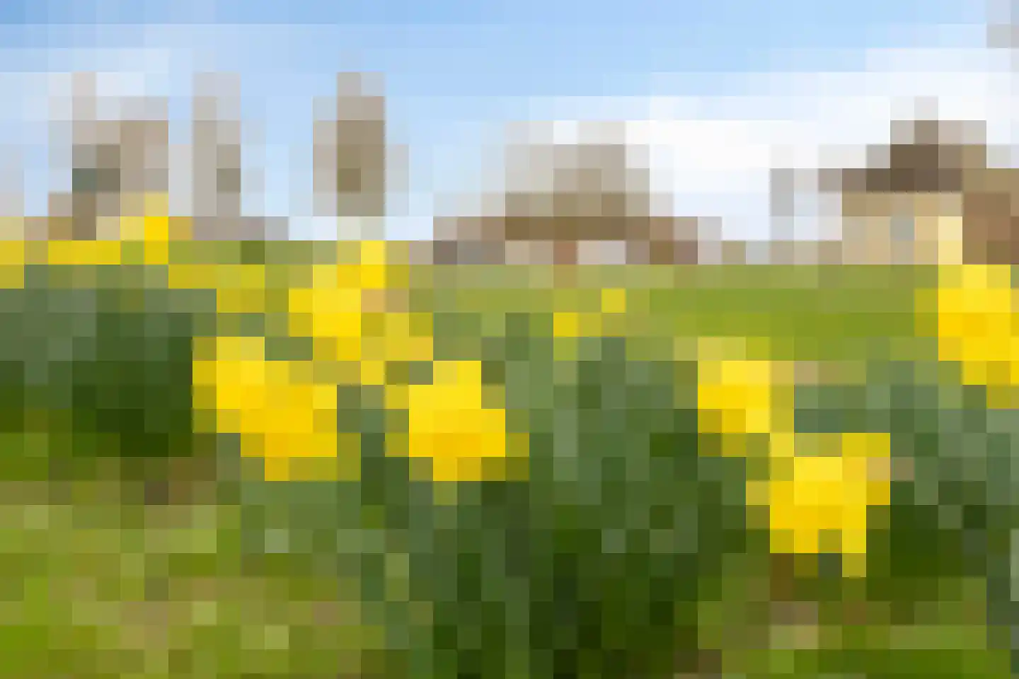 Kolkstraat 7 Munnekezijl thumbnail 35