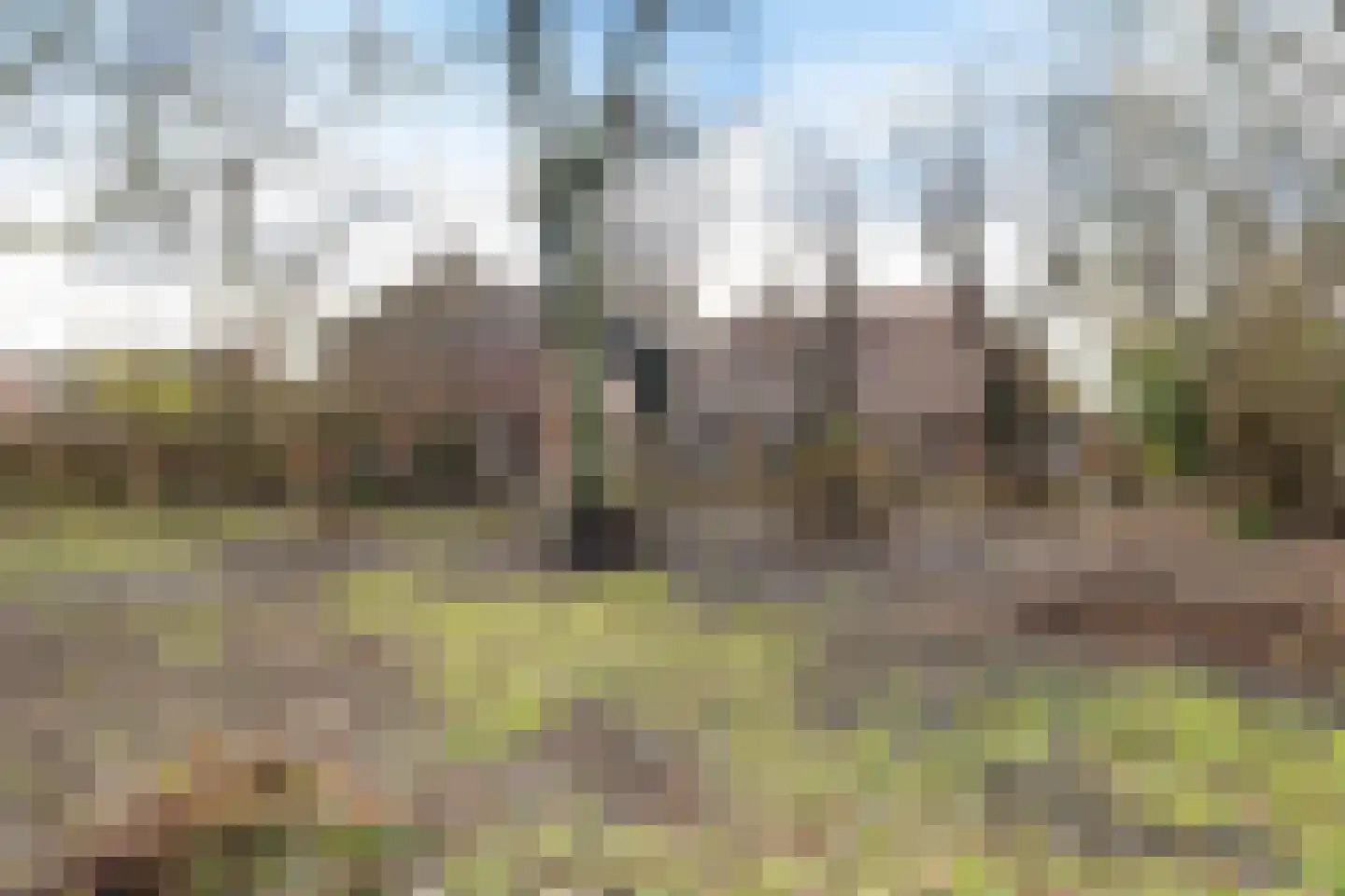 Kolkweg 1 Zijldijk thumbnail 11
