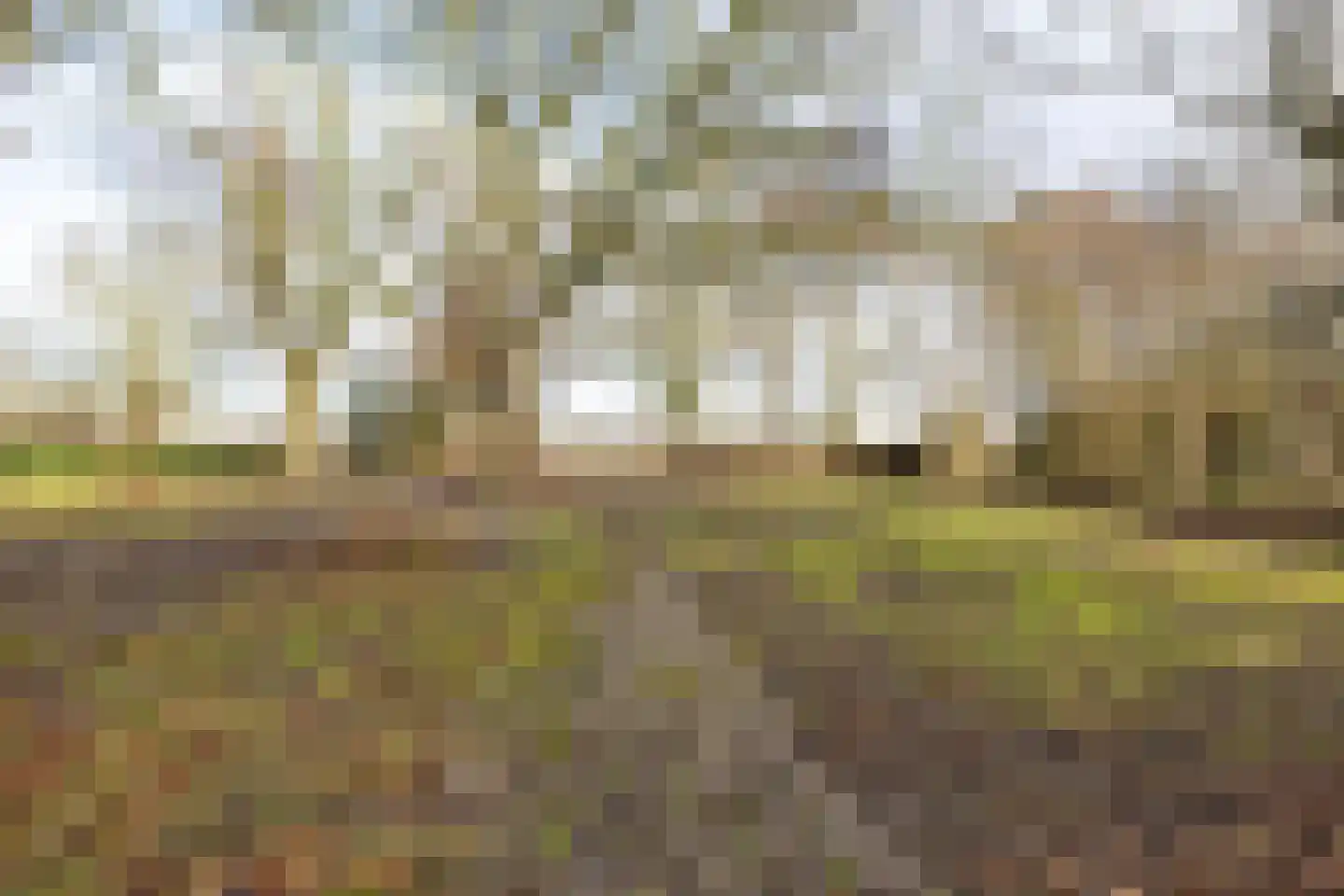 Kolkweg 1 Zijldijk thumbnail 13