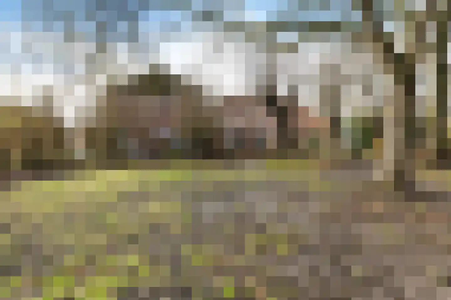 Kolkweg 1 Zijldijk thumbnail 14