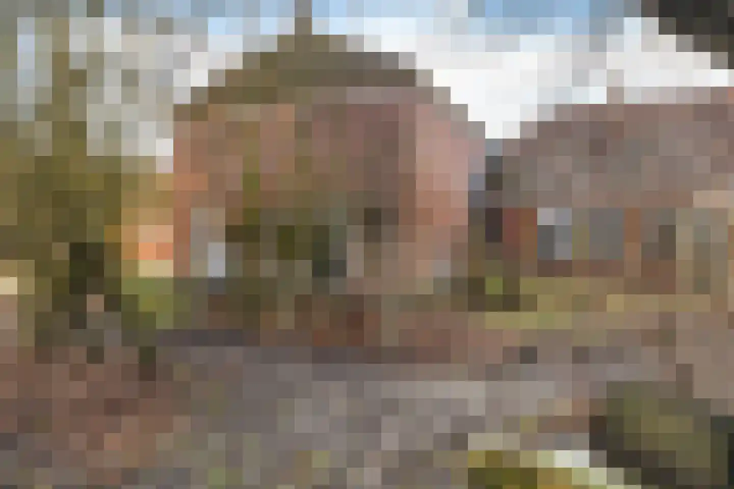 Kolkweg 1 Zijldijk thumbnail 15