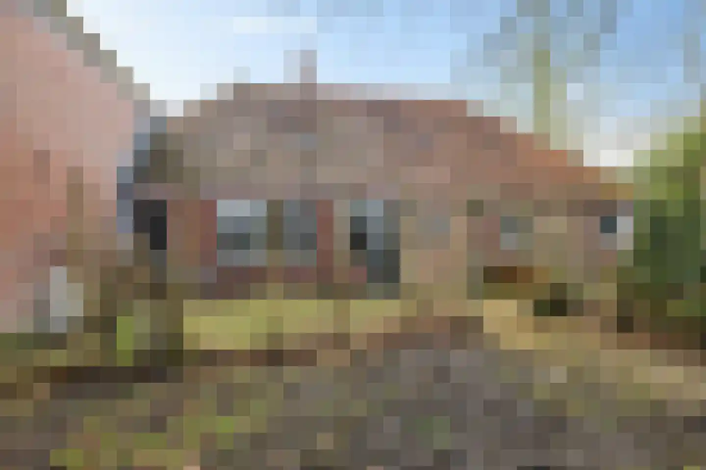 Kolkweg 1 Zijldijk thumbnail 16