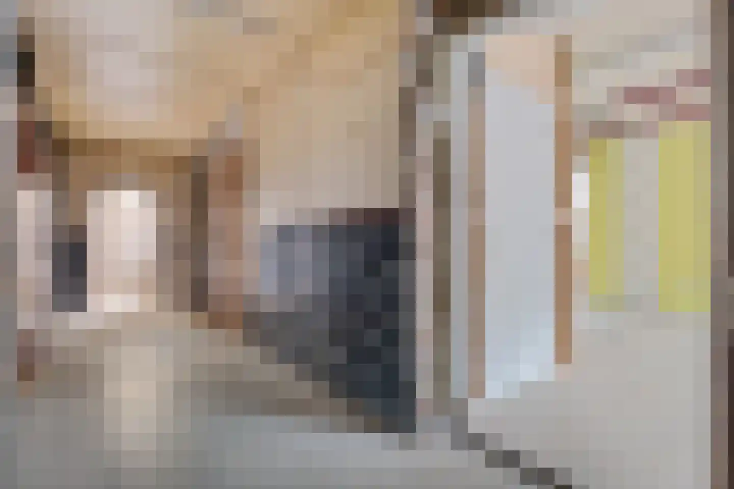 Kolkweg 1 Zijldijk thumbnail 21