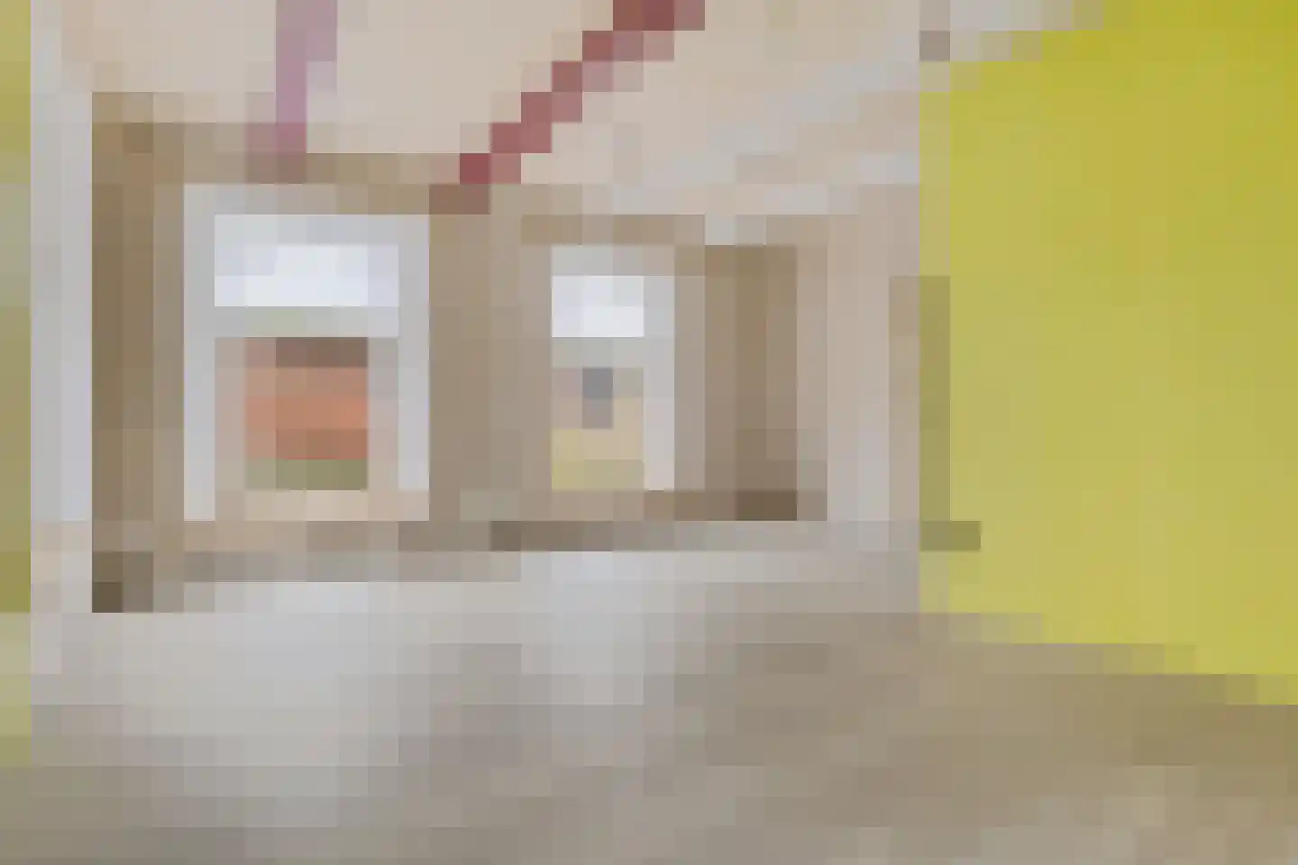 Kolkweg 1 Zijldijk thumbnail 25