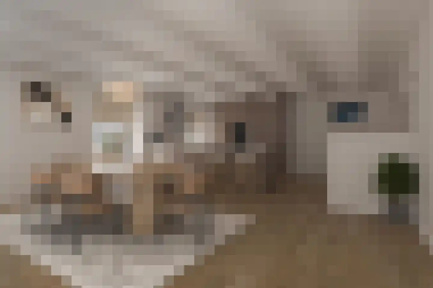 Kolkweg 1 Zijldijk thumbnail 27