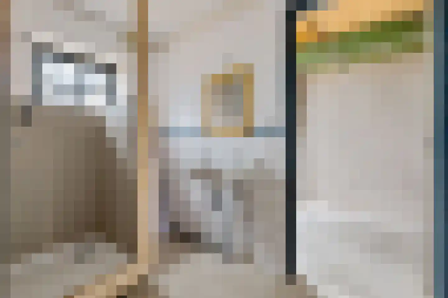 Kolkweg 1 Zijldijk thumbnail 40