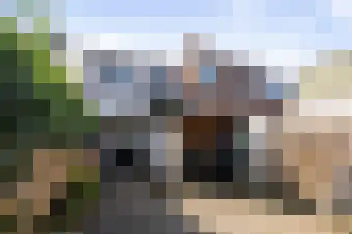 Kolkweg 107 Deventer thumbnail 21