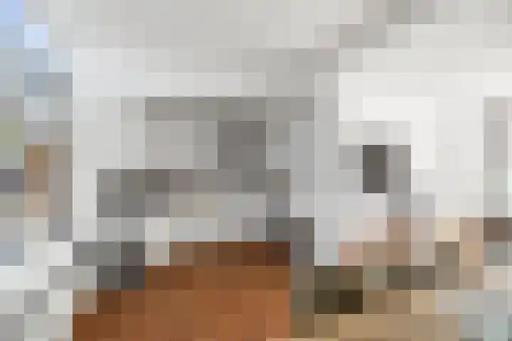 Kolkweg 107 Deventer thumbnail 7