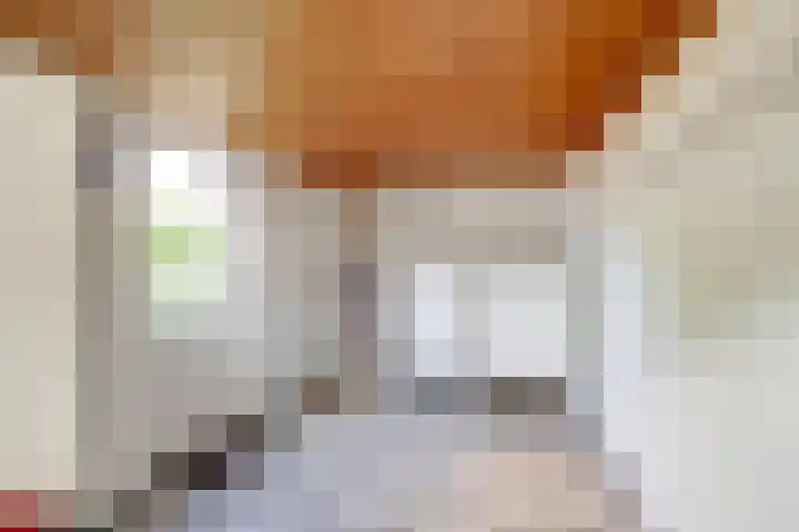 Kolkweg 16 Venray thumbnail 18
