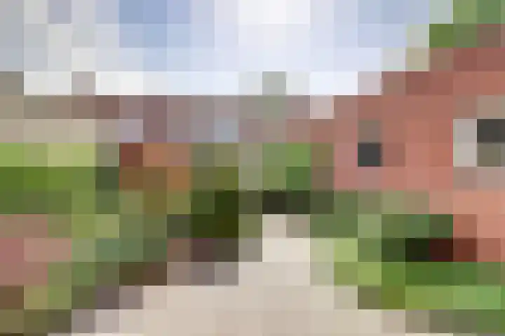 Kolkweg 16 Venray thumbnail 33