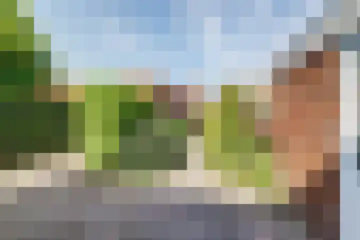 Kolkweg 16 Venray thumbnail 35