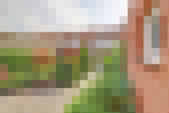 Kolkweg 16 Venray thumbnail 36