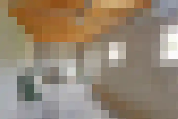 Kolkweg 16 Venray thumbnail 38