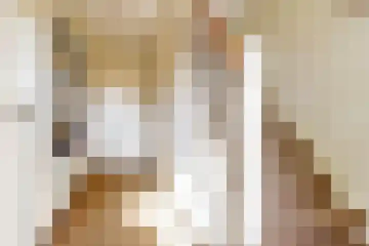 Kolkweg 16 Venray thumbnail 8