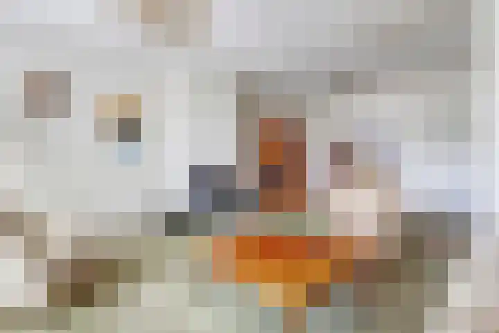 Kolkweg 16 Venray thumbnail 9