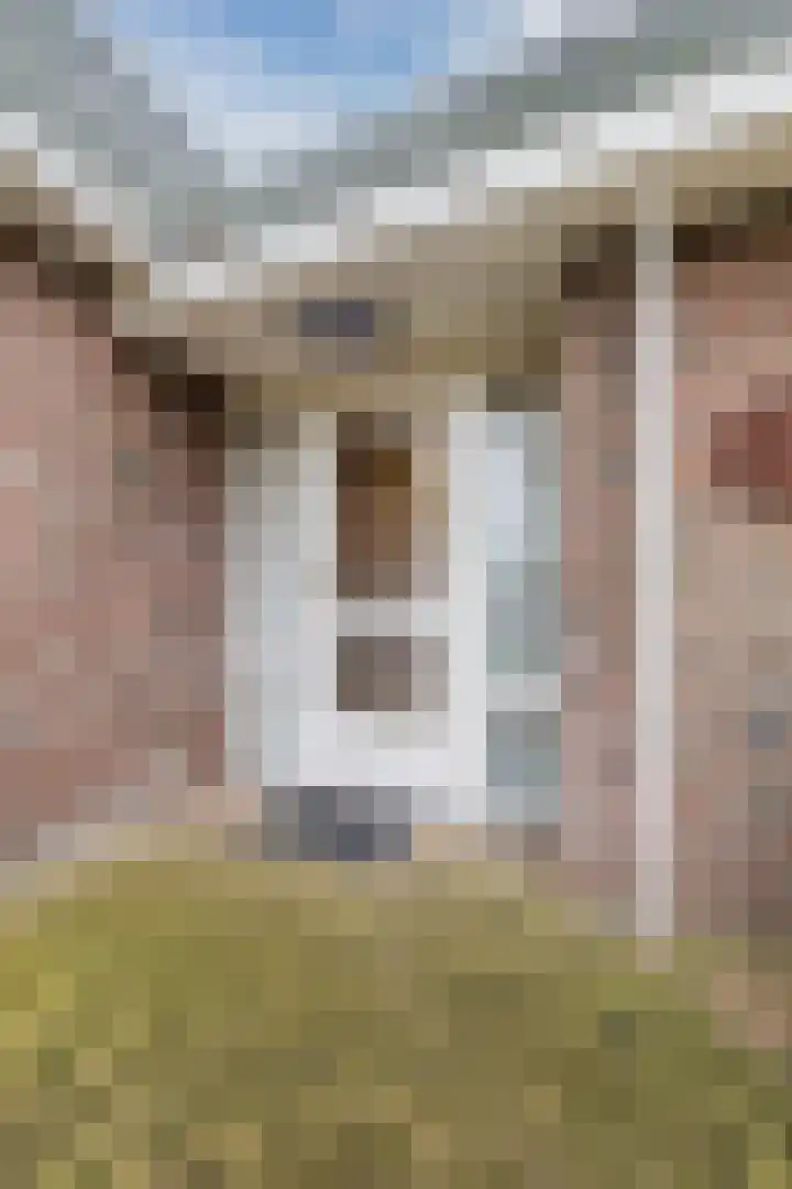 Kolkweg 21 Stuifzand thumbnail 11