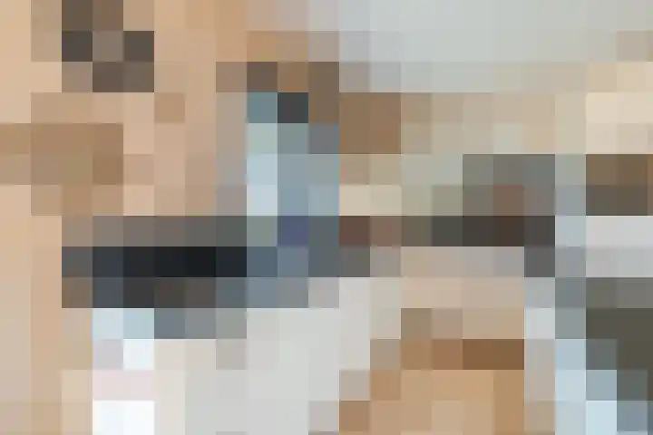 Kolkweg 21 Stuifzand thumbnail 12
