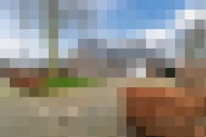 Kolkweg 21 Stuifzand thumbnail 4