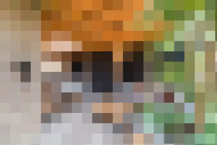 Kolkweg 21 Stuifzand thumbnail 50