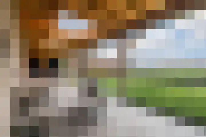 Kolkweg 21 Stuifzand thumbnail 52