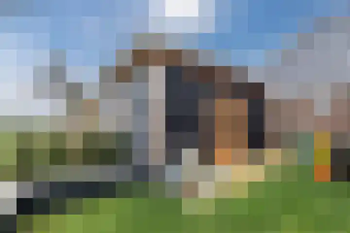 Kolkweg 21 Stuifzand thumbnail 60
