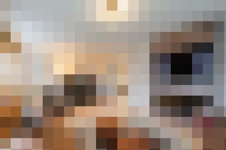 Kolkweg 21 Stuifzand thumbnail 7