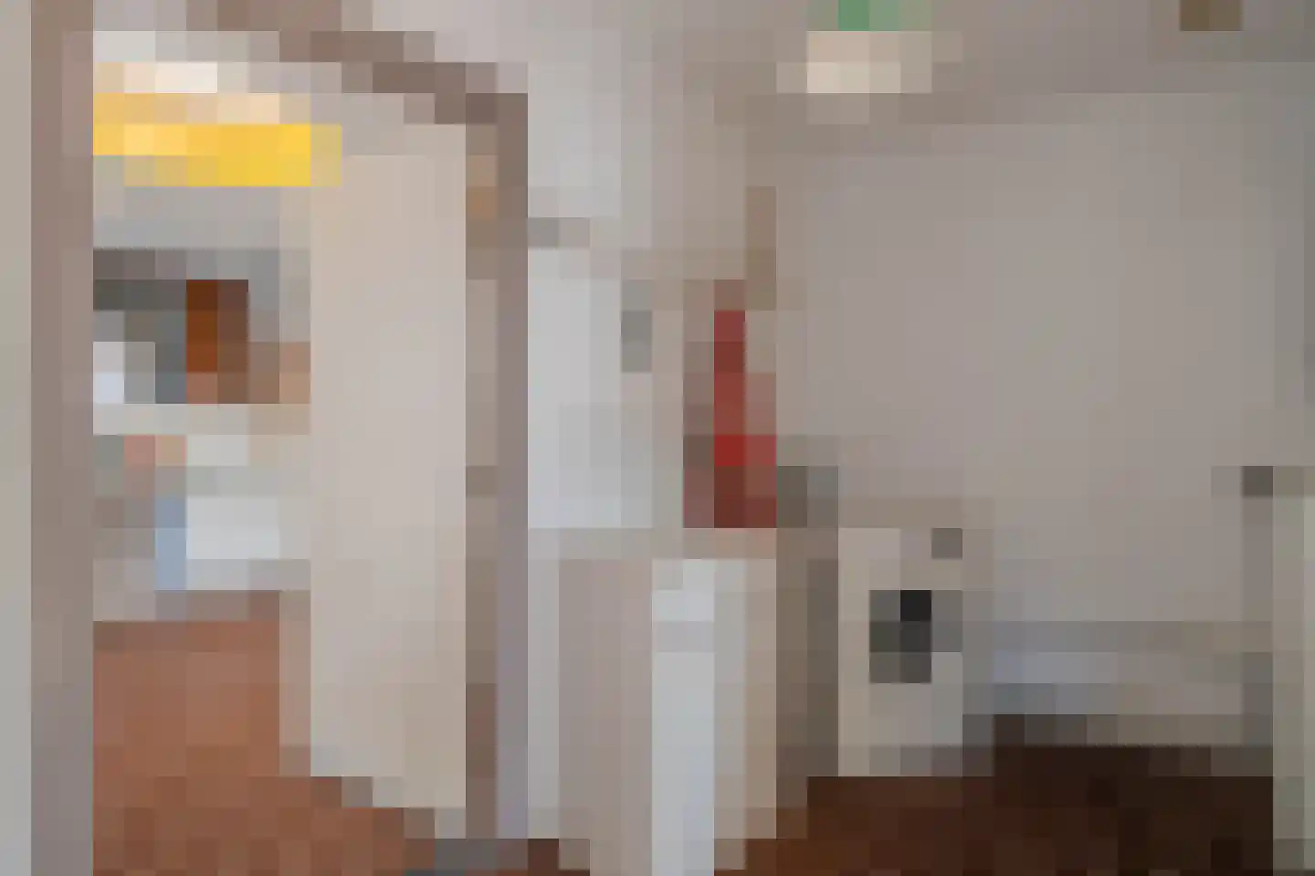 Kolkweg 27 Venray thumbnail 20