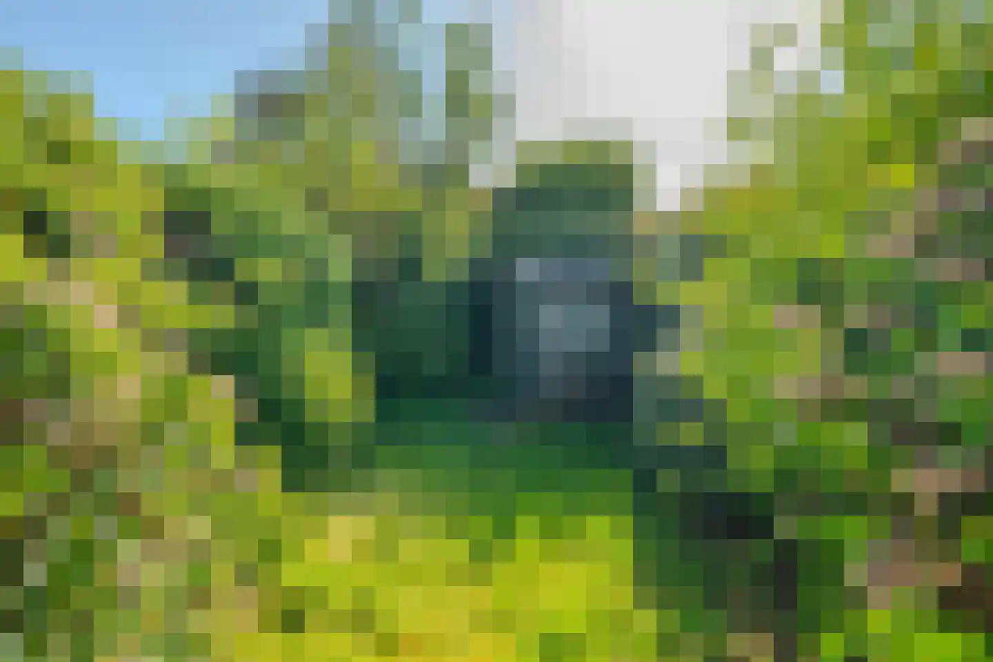 Kolkweg 27 Venray thumbnail 29