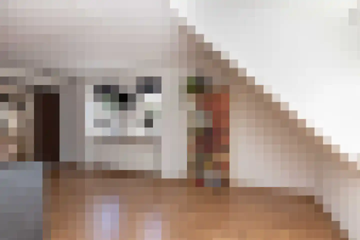 Kolkweg 28 Stuifzand thumbnail 34
