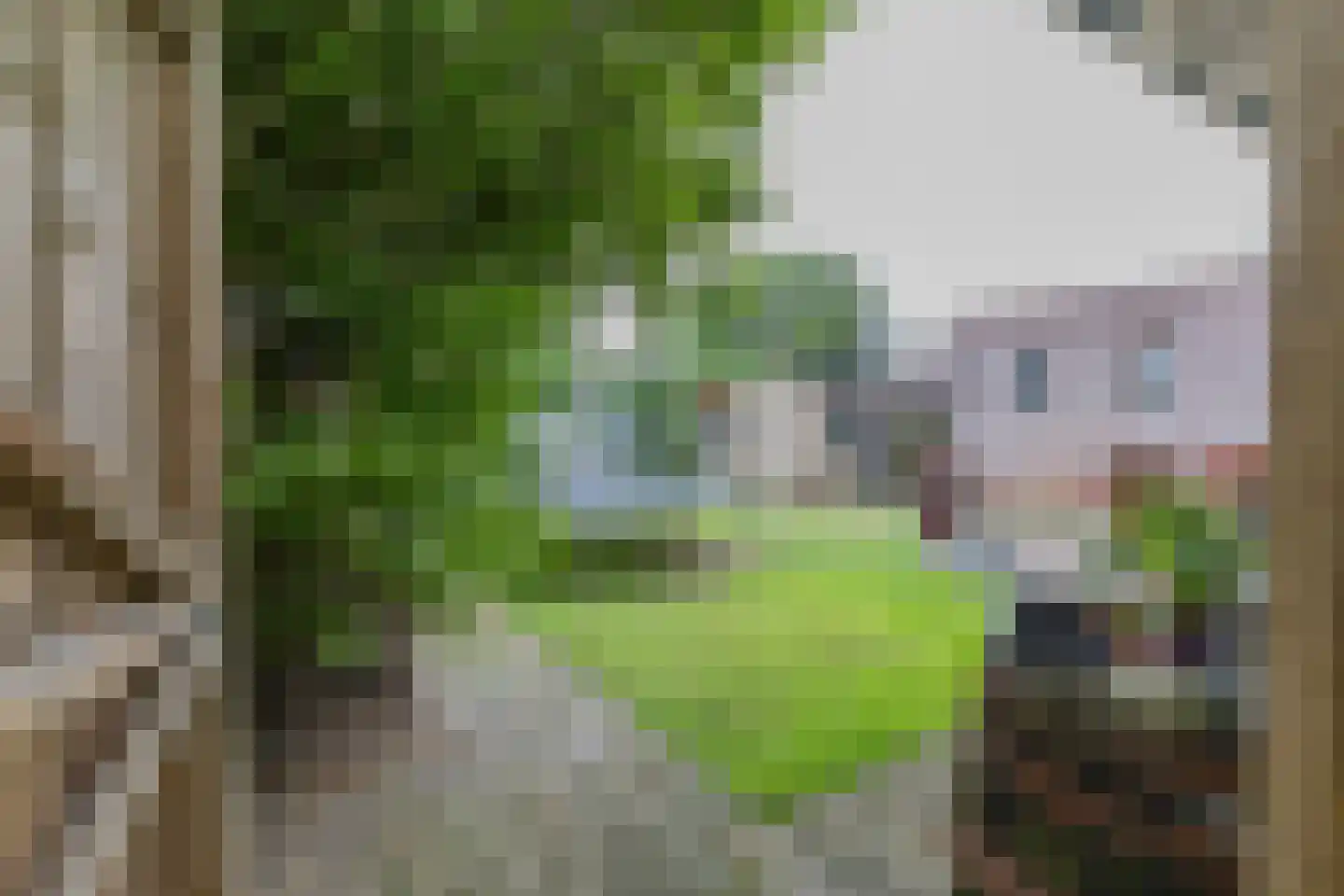 Kolkweg 5 Nes thumbnail 30