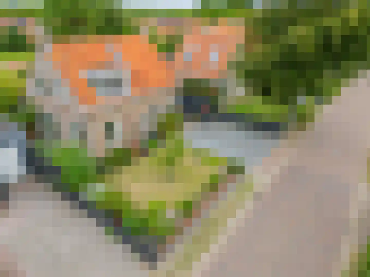 Kolkweg 5 Nes thumbnail 34