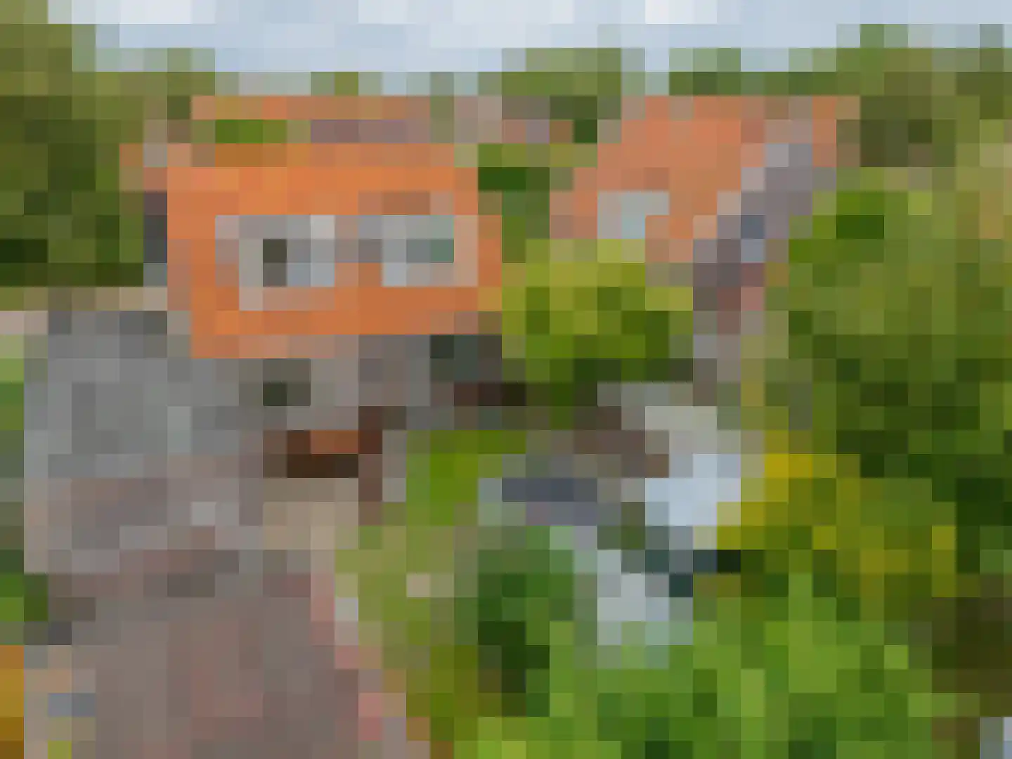 Kolkweg 5 Nes thumbnail 35