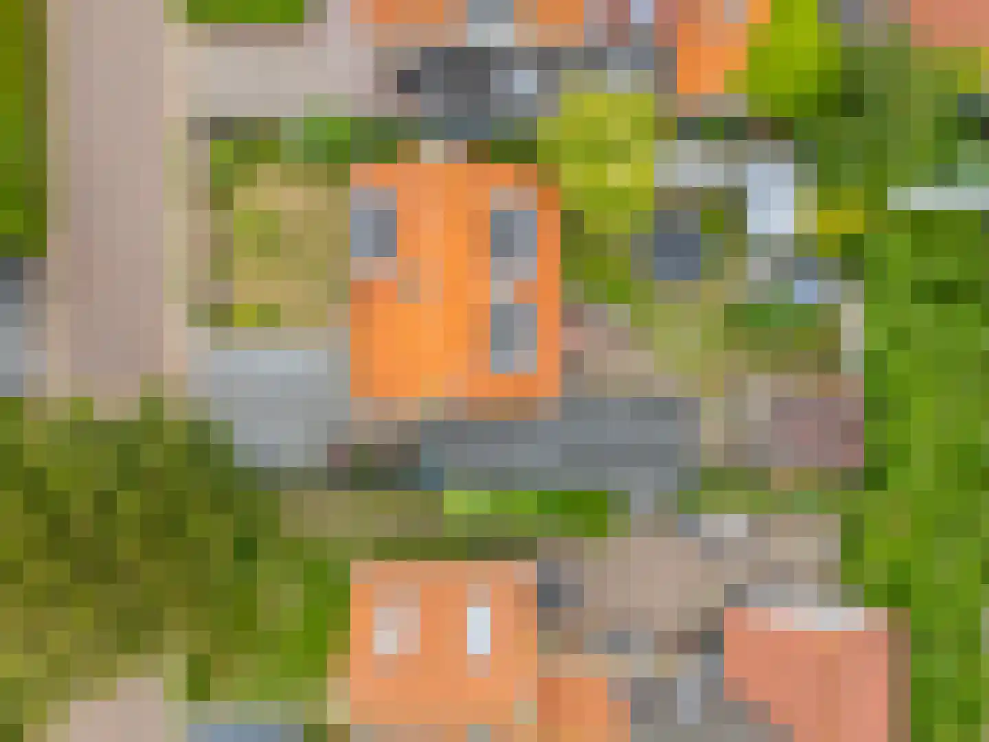 Kolkweg 5 Nes thumbnail 36
